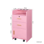 Meuble de rangement moderne pour salon de beauté avec 3 supports pour sèche-cheveux, 2 tiroirs, 1 porte et roulettes
